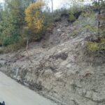 IMG-20231103-WA0012