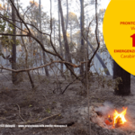 attincendi-estate-20171